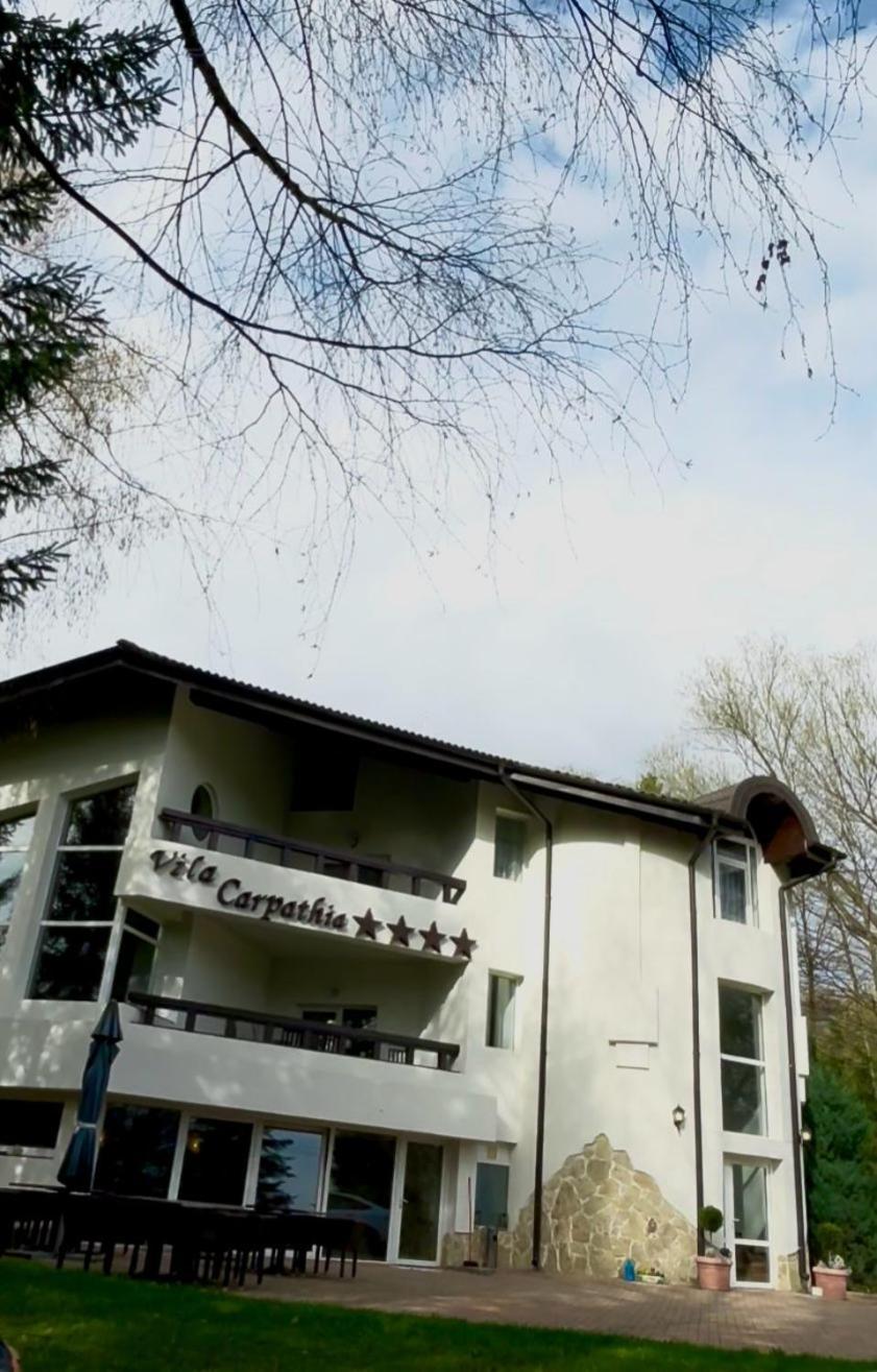 Vila Carpathia برانْ المظهر الخارجي الصورة