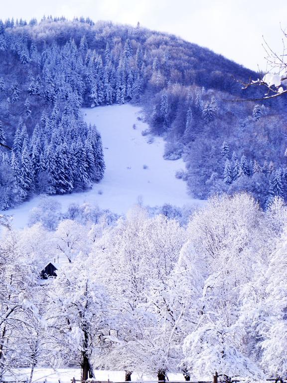 Vila Carpathia برانْ المظهر الخارجي الصورة