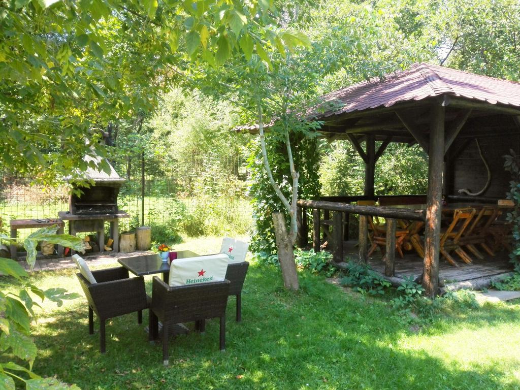 Vila Carpathia برانْ المظهر الخارجي الصورة