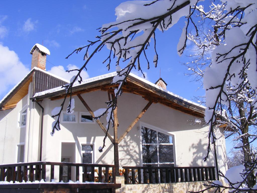 Vila Carpathia برانْ المظهر الخارجي الصورة