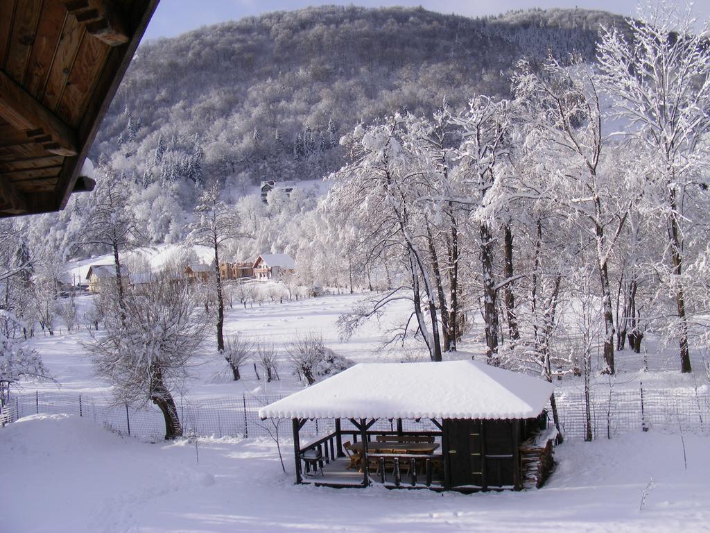 Vila Carpathia برانْ المظهر الخارجي الصورة